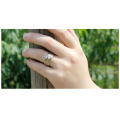 Herrenmode Edelstahl Schmuck Finger Ring (hdx1052)